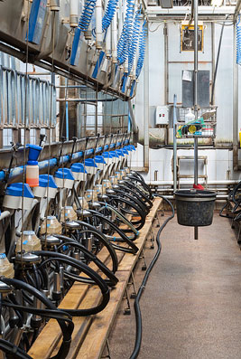 farm and agriculture